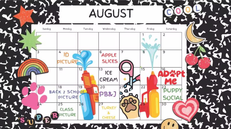 Dogtopia of Myrtle Ave. - Brooklyn - Brooklyn, NY