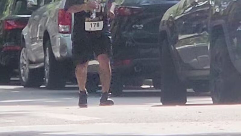 Fulton Park - Brooklyn, NY