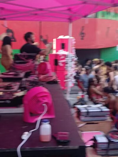 Herbert Von King Park Dog Run - Brooklyn, NY