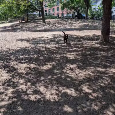 Hillside Dog Park - Brooklyn, NY