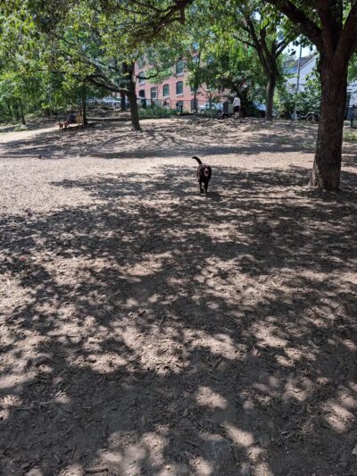 Hillside Dog Park - Brooklyn, NY