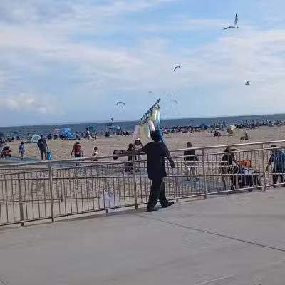 Manhattan Beach Dog Run - Brooklyn, NY