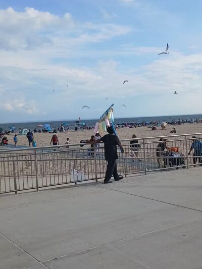 Manhattan Beach Dog Run - Brooklyn, NY