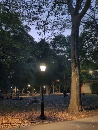 Msgr. McGolrick Park - Brooklyn, NY