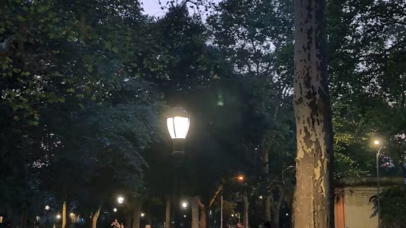 Msgr. McGolrick Park - Brooklyn, NY