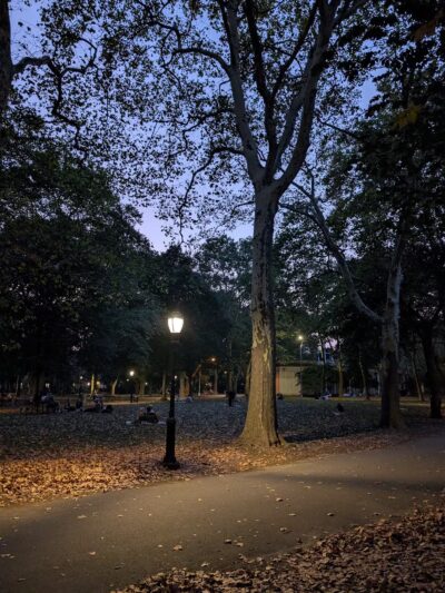 Msgr. McGolrick Park - Brooklyn, NY