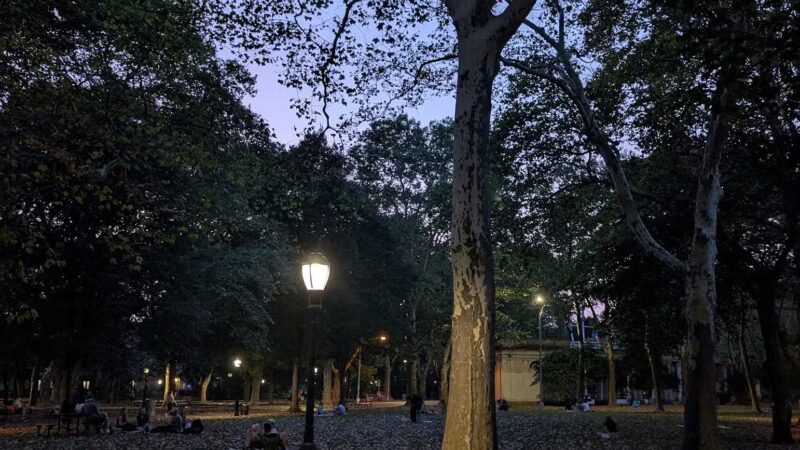 Msgr. McGolrick Park - Brooklyn, NY