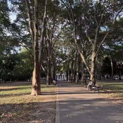 Msgr. McGolrick Park - Brooklyn, NY