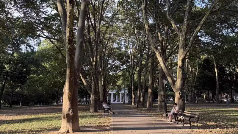 Msgr. McGolrick Park - Brooklyn, NY