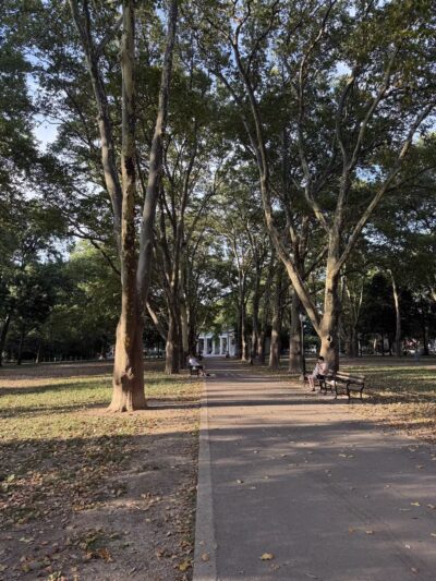 Msgr. McGolrick Park - Brooklyn, NY