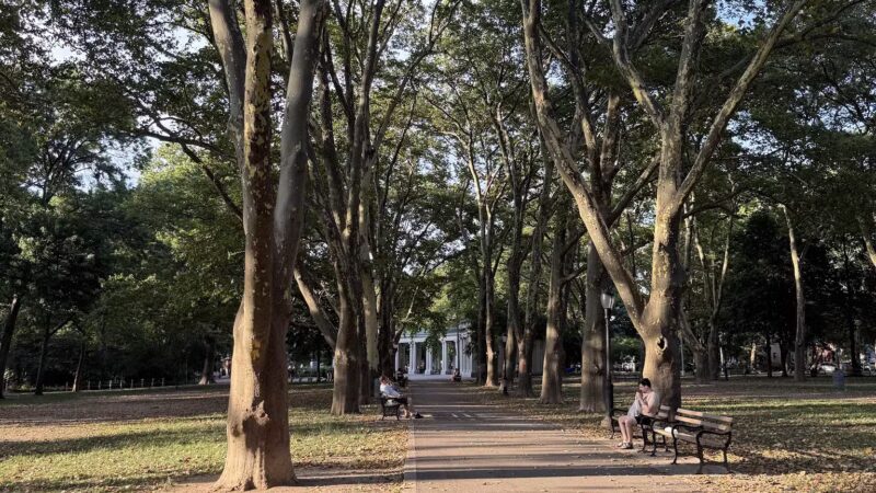 Msgr. McGolrick Park - Brooklyn, NY
