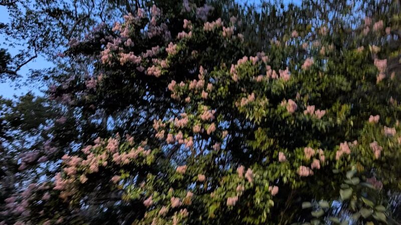 Msgr. McGolrick Park - Brooklyn, NY