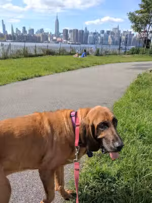 Marsha P. Johnson State Park - Brooklyn, NY