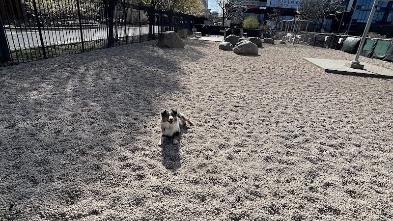 Marsha P. Johnson State Park Dog Run - Brooklyn, NY