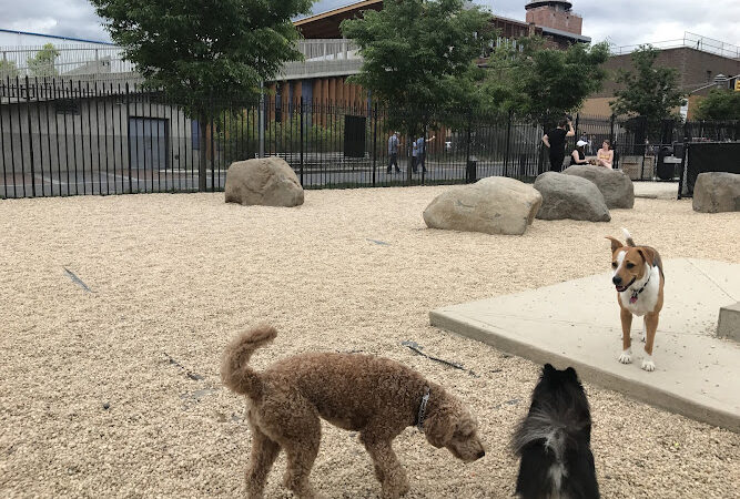 Marsha P. Johnson State Park Dog Run - Brooklyn, NY