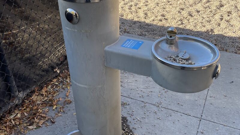 Marsha P. Johnson State Park Dog Run - Brooklyn, NY