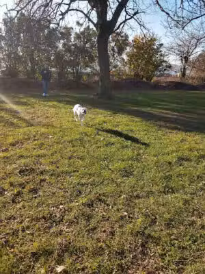 Shore Road Park - Brooklyn, NY