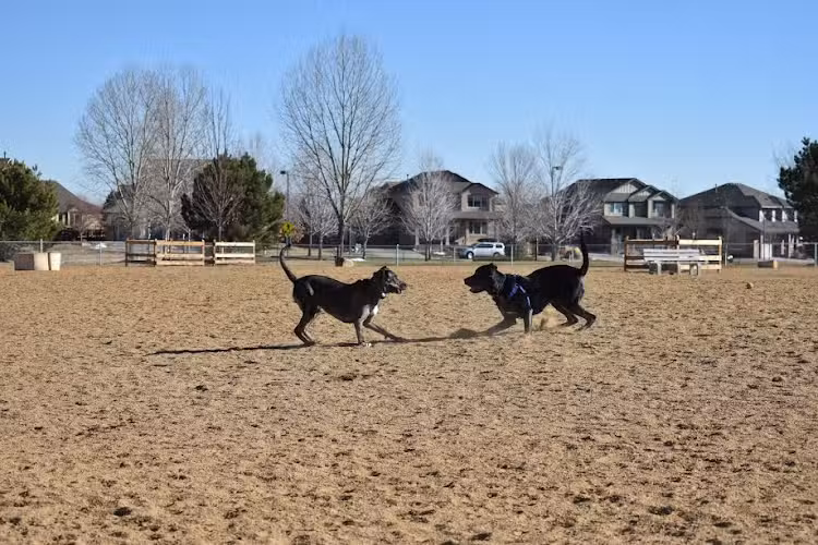 Broomfield Commons Dog Park - Broomfield, CO