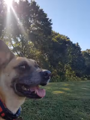 Broussard Sports Complex Red Baseball Fields - Broussard, LA