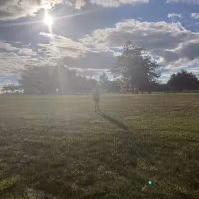 Brown City Park - Brown City, MI