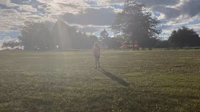 Brown City Park - Brown City, MI