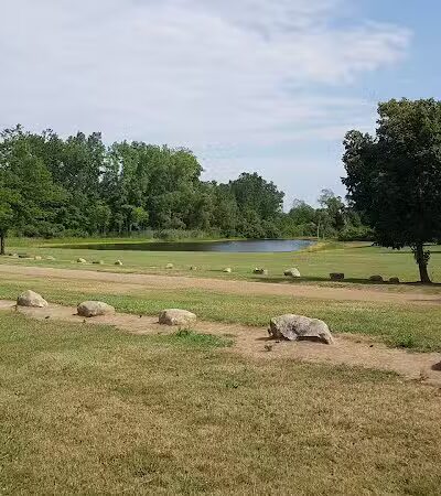 Brown City Park - Brown City, MI