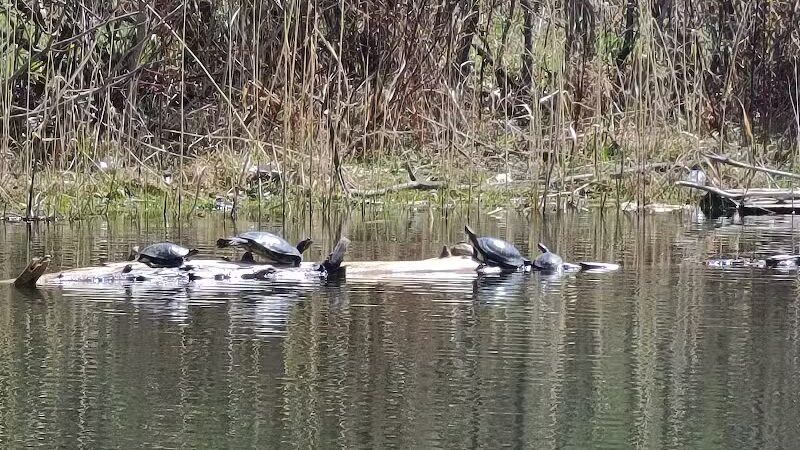Brown City Park - Brown City, MI