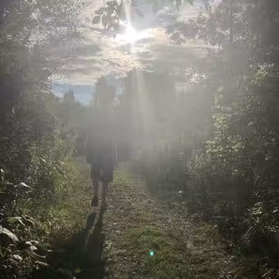 Brown City Park - Brown City, MI
