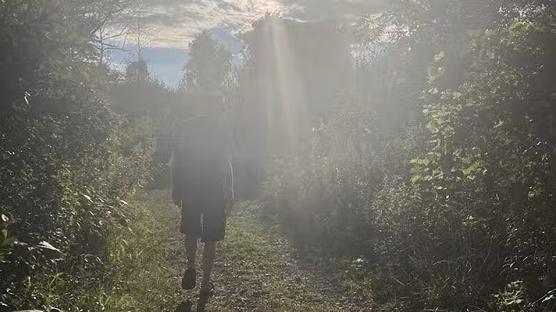 Brown City Park - Brown City, MI