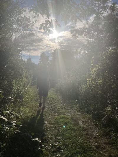 Brown City Park - Brown City, MI