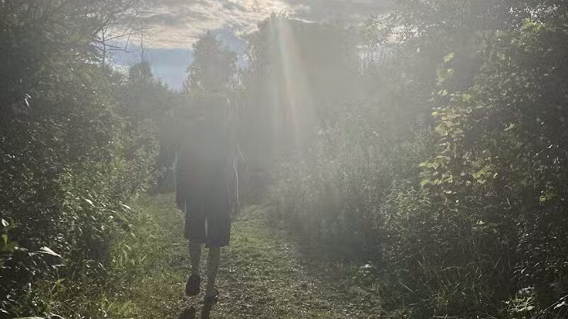 Brown City Park - Brown City, MI