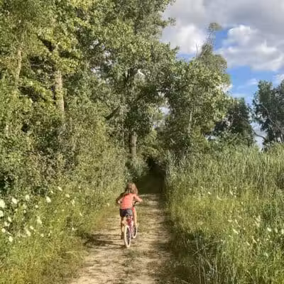 Brown City Park - Brown City, MI