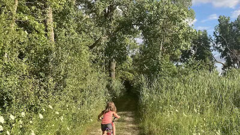 Brown City Park - Brown City, MI