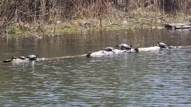 Brown City Park - Brown City, MI