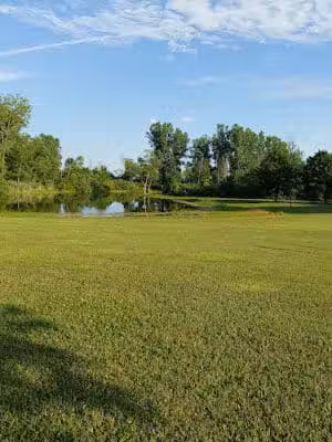 Brown City Park - Brown City, MI