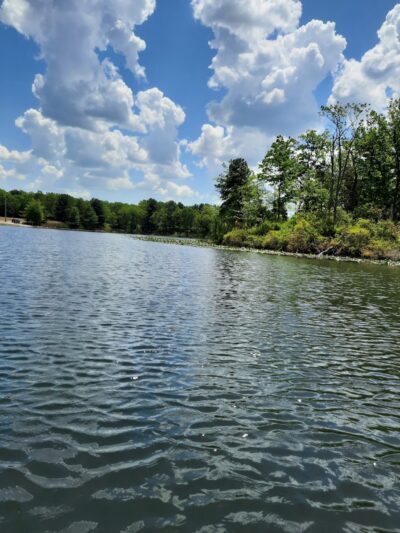 Lake of the Woods - Browns Mills, NJ