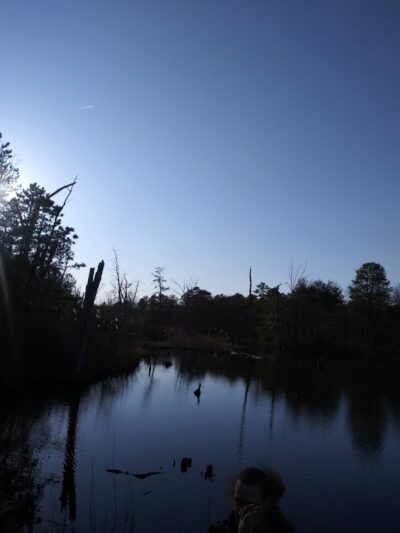 Lake of the Woods - Browns Mills, NJ