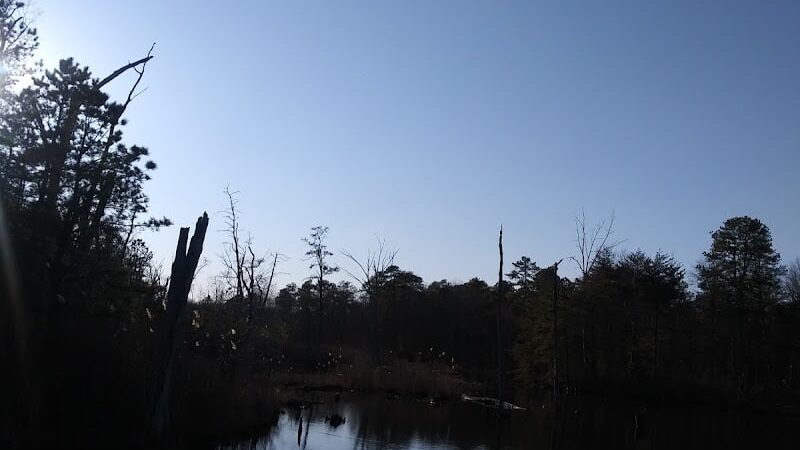 Lake of the Woods - Browns Mills, NJ