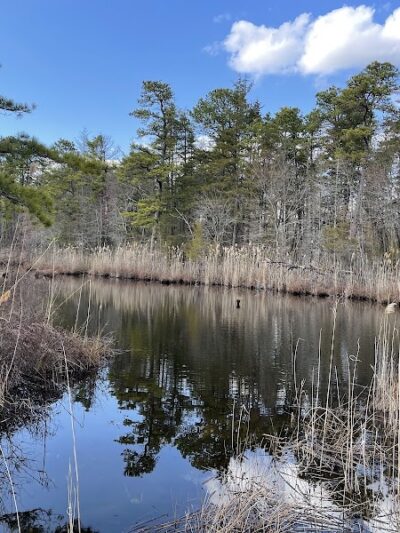 Lake of the Woods - Browns Mills, NJ