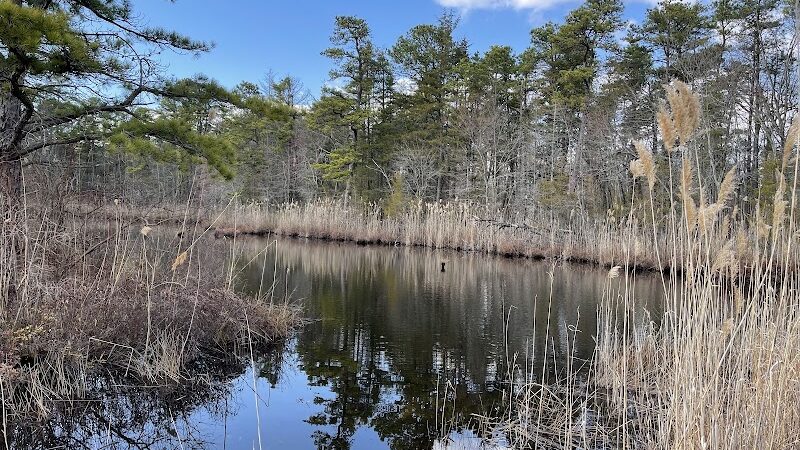 Lake of the Woods - Browns Mills, NJ