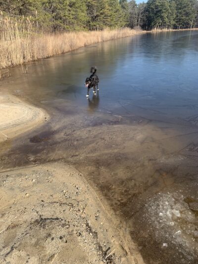 Lake of the Woods - Browns Mills, NJ