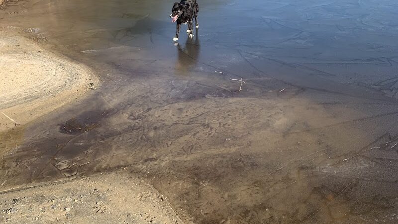 Lake of the Woods - Browns Mills, NJ