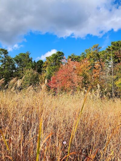 Lake of the Woods - Browns Mills, NJ