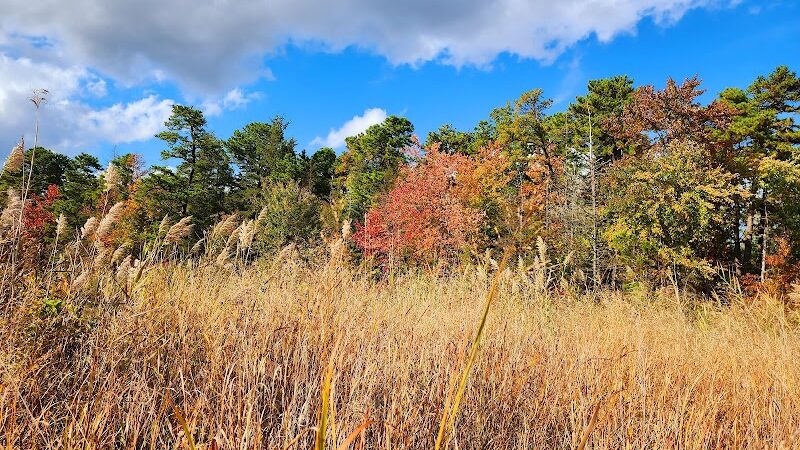 Lake of the Woods - Browns Mills, NJ