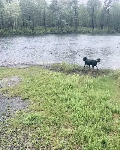 Lake of the Woods - Browns Mills, NJ