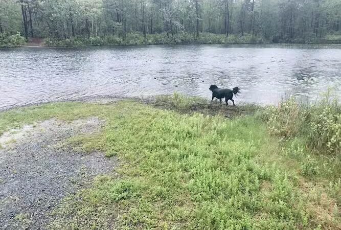 Lake of the Woods - Browns Mills, NJ