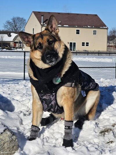 Cardinal Bark Park - Brownsburg, IN