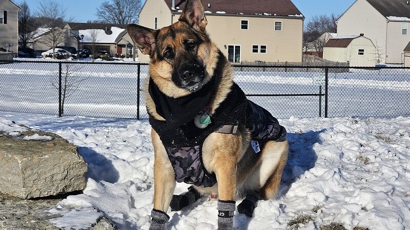Cardinal Bark Park - Brownsburg, IN