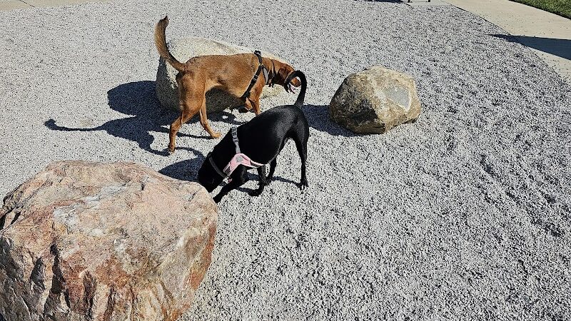 Cardinal Bark Park - Brownsburg, IN