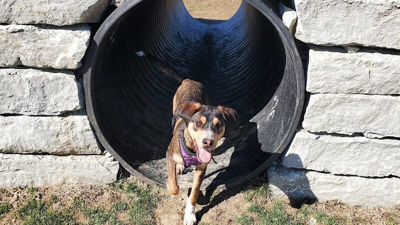 Cardinal Bark Park - Brownsburg, IN